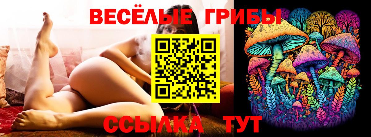 Алатырь  Псилоцибиновые грибы ЛСД  Псилоцибиновые грибы MAGIC MUSHROOMS  Вход с VPN 